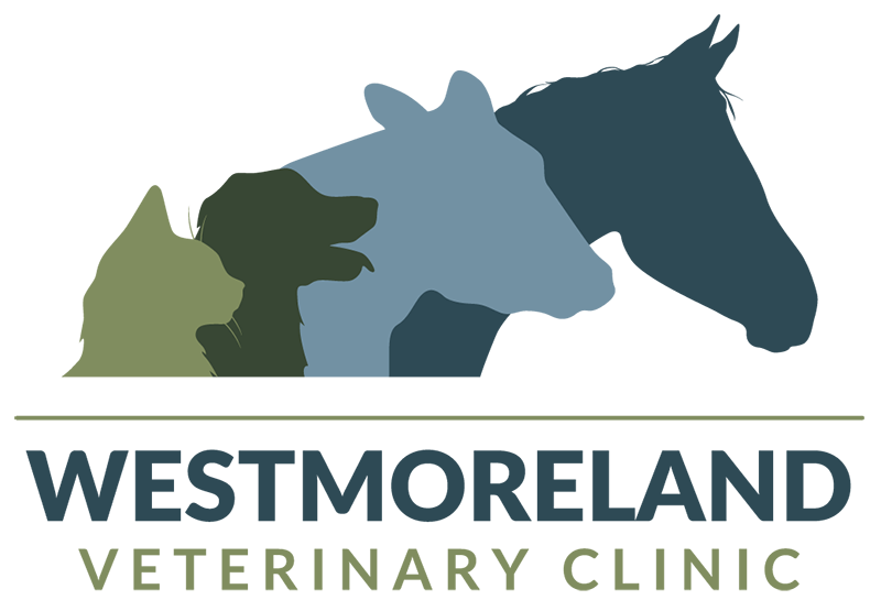 westmoreland clinic logo