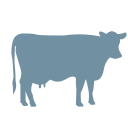 Cow icon