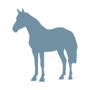 horse icon