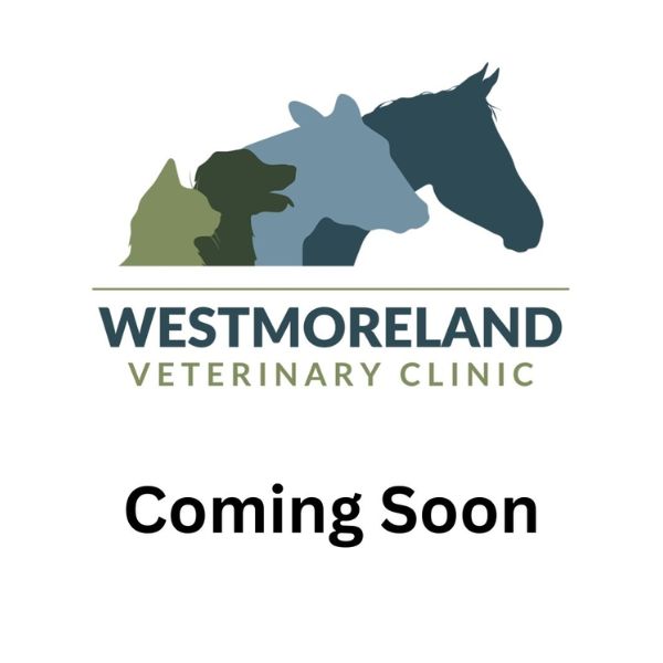 coming soon image Coming soon image