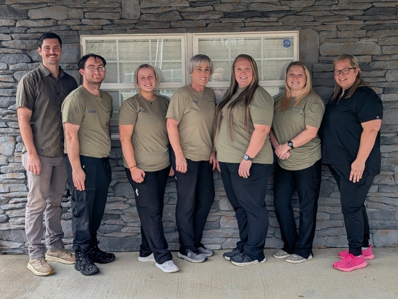 a vet hold a cat in hand